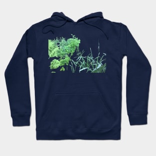 fern and grass Hoodie